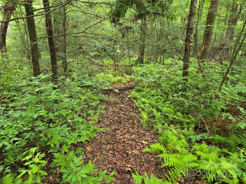 TBD Cedar Lane Brevard, NC 28712