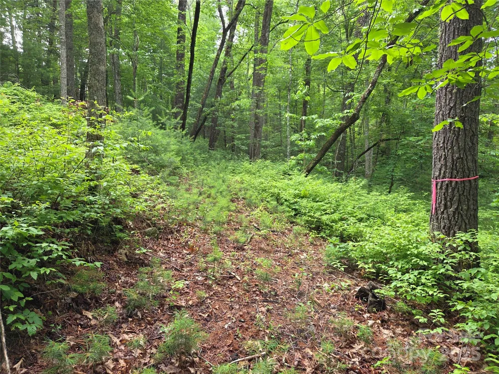 TBD Cedar Lane Brevard, NC 28712