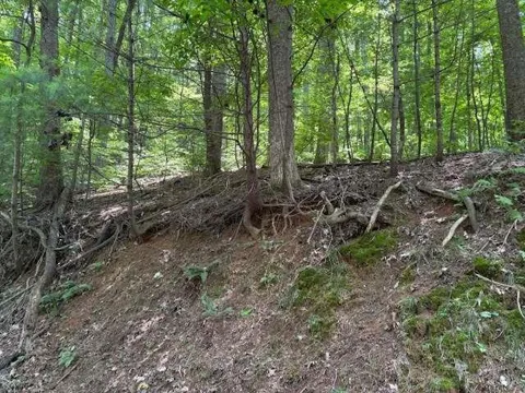 0 Mountain View Court