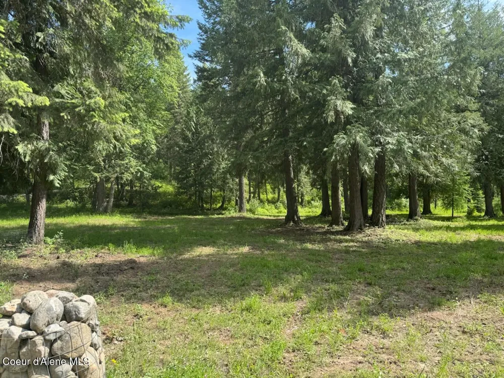 197 Berry Hill Cocolalla, ID 83813