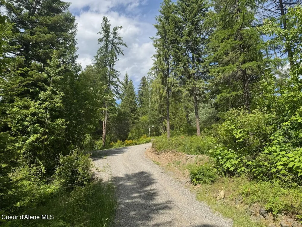 197 Berry Hill Cocolalla, ID 83813