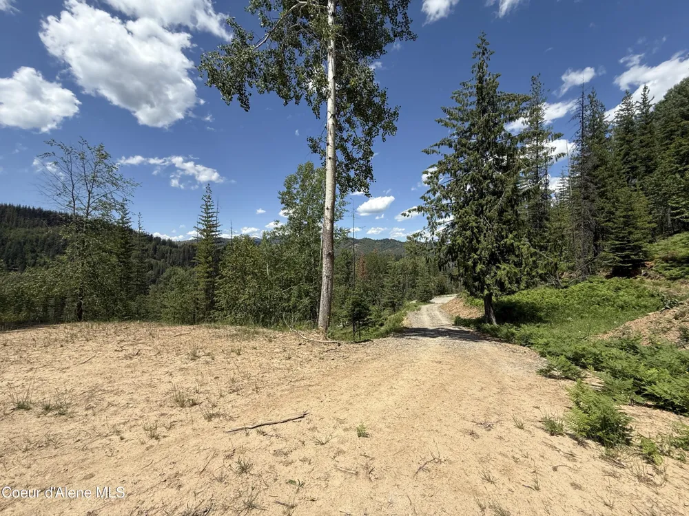 928 Polaris Peak Road Lot 2 Kellogg, ID 83837