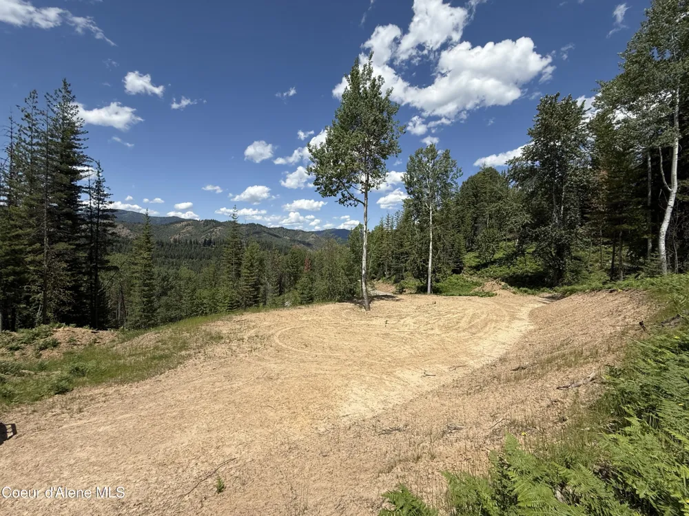 928 Polaris Peak Road Lot 2 Kellogg, ID 83837