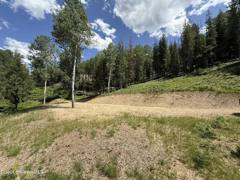 928 Polaris Peak Road Lot 2 Kellogg, ID 83837