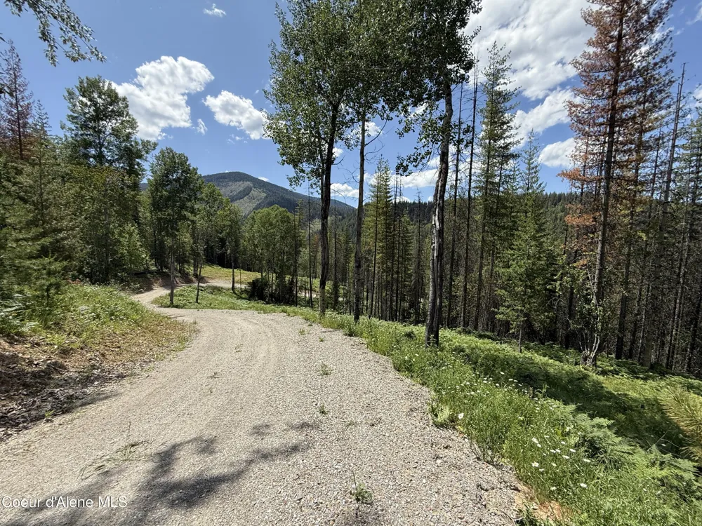 928 Polaris Peak Road Lot 1 Kellogg, ID 83837