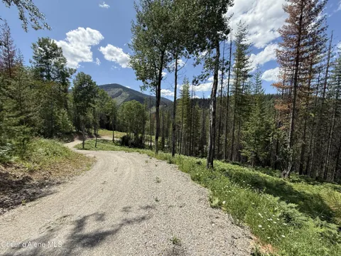928 Polaris Peak Road Lot 1