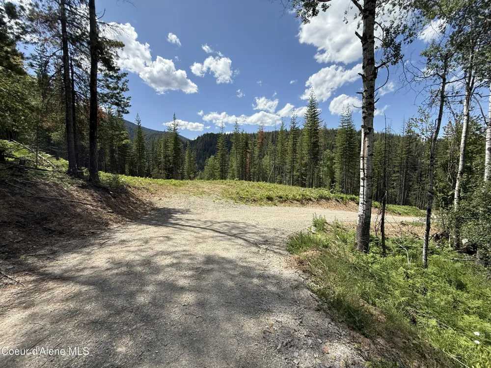 928 Polaris Peak Road Lot 1 Kellogg, ID 83837