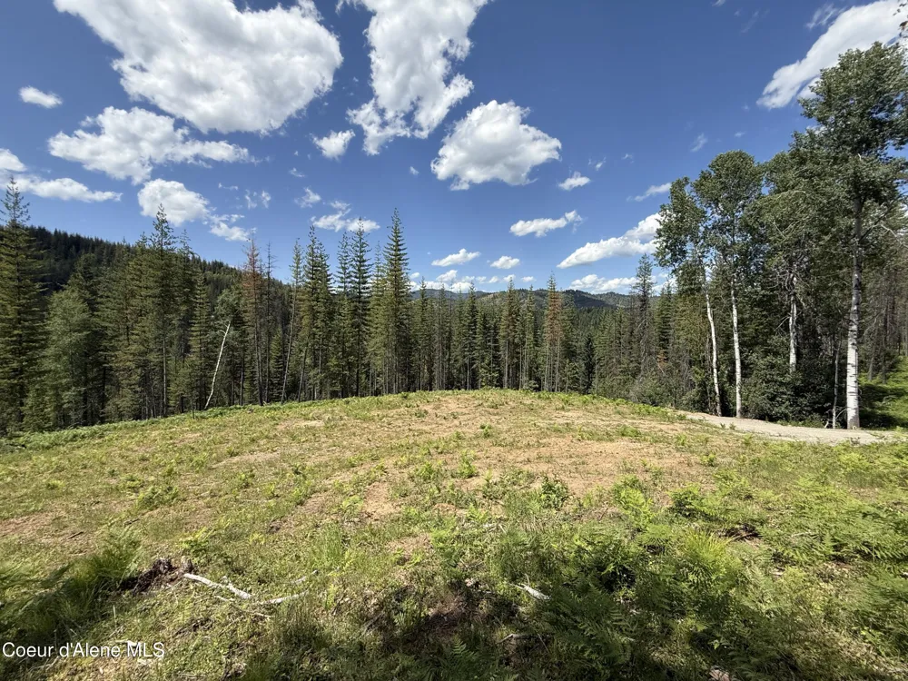 928 Polaris Peak Road Lot 1 Kellogg, ID 83837