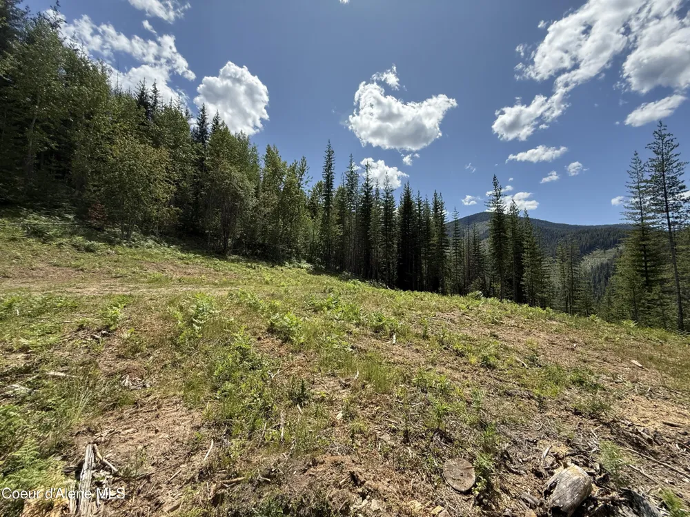 928 Polaris Peak Road Lot 1 Kellogg, ID 83837