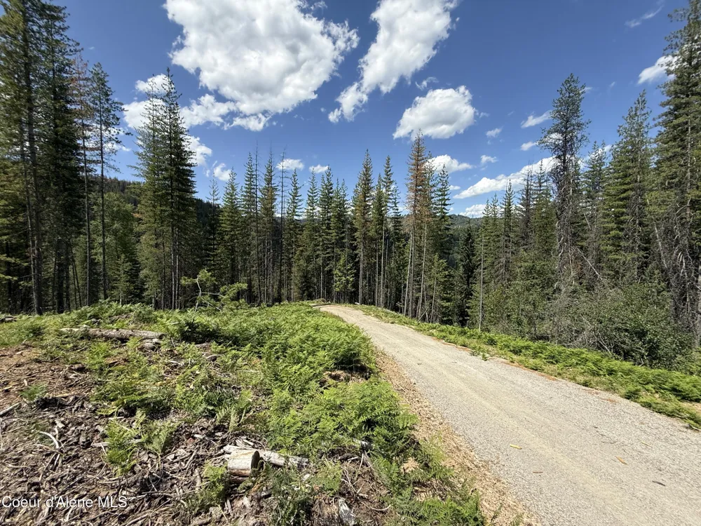 928 Polaris Peak Road Lot 1 Kellogg, ID 83837