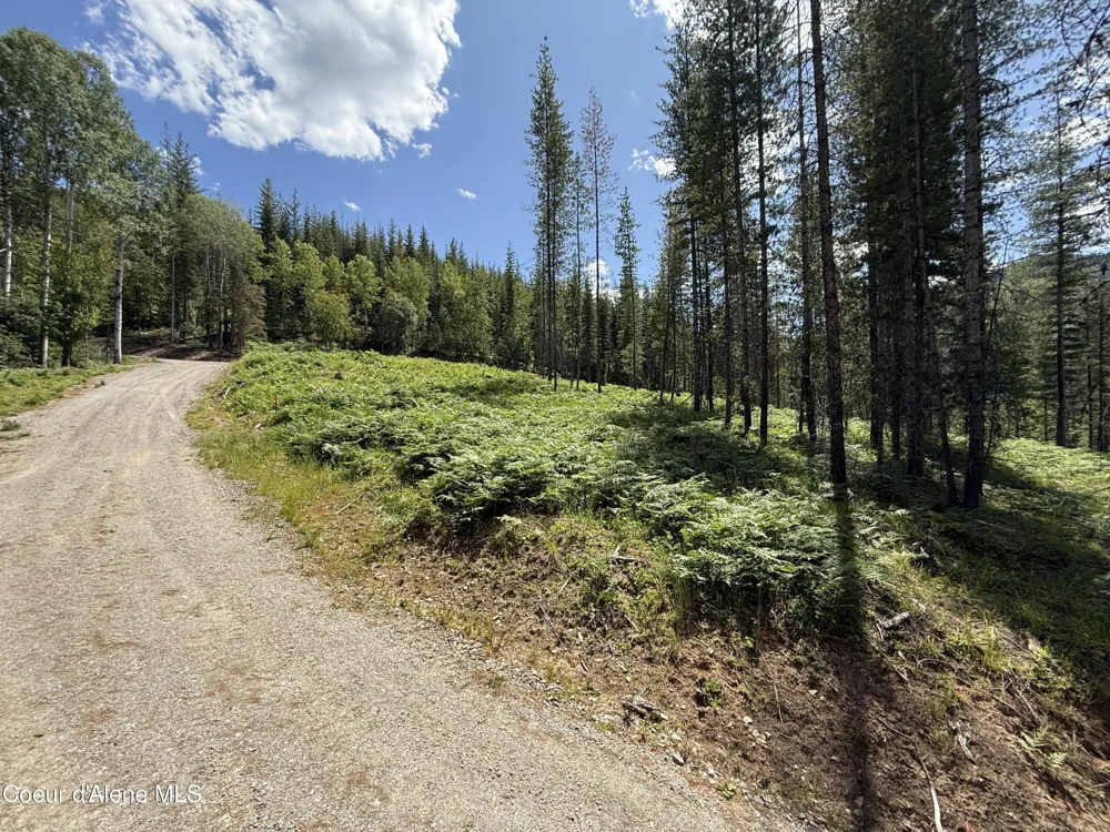 928 Polaris Peak Road Lot 1 Kellogg, ID 83837