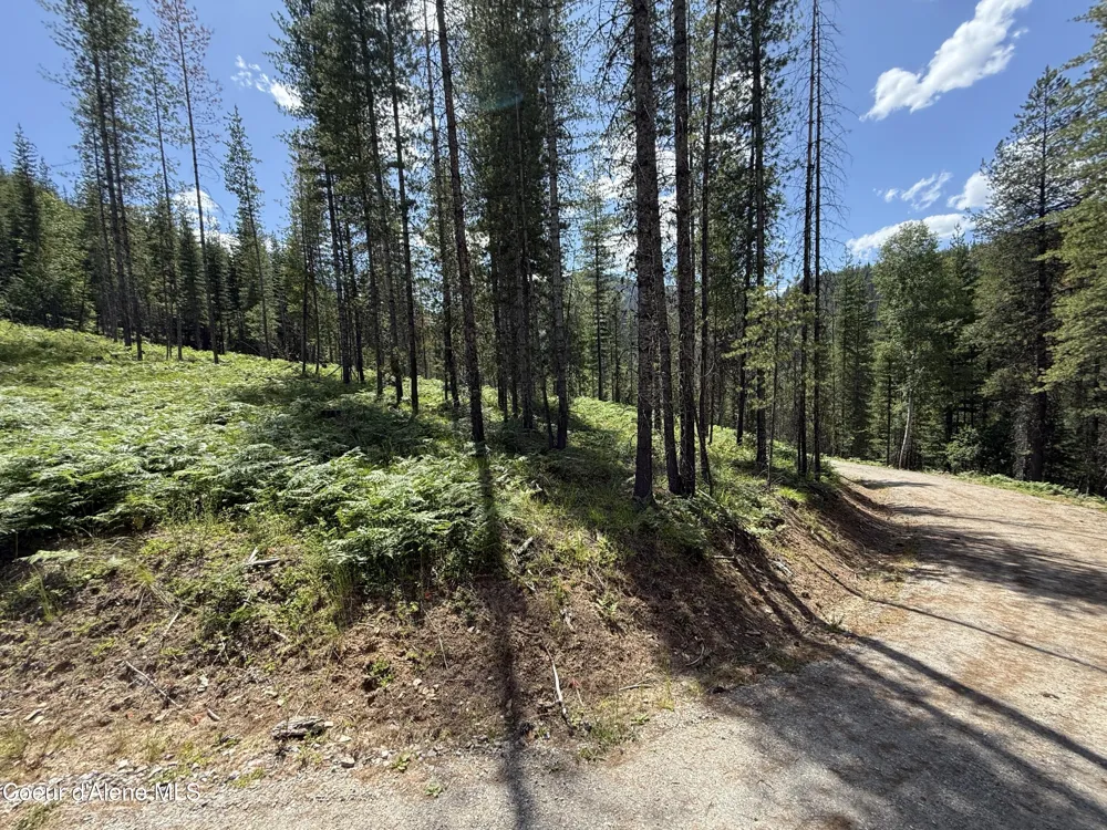 928 Polaris Peak Road Lot 1 Kellogg, ID 83837