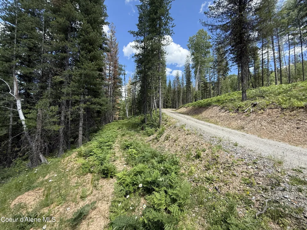 928 Polaris Peak Road Lot 1 Kellogg, ID 83837