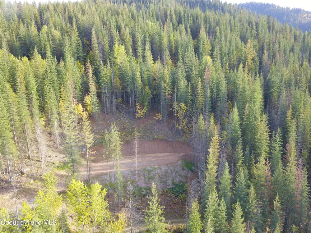 928 Polaris Peak Road Lot 3 Kellogg, ID 83837