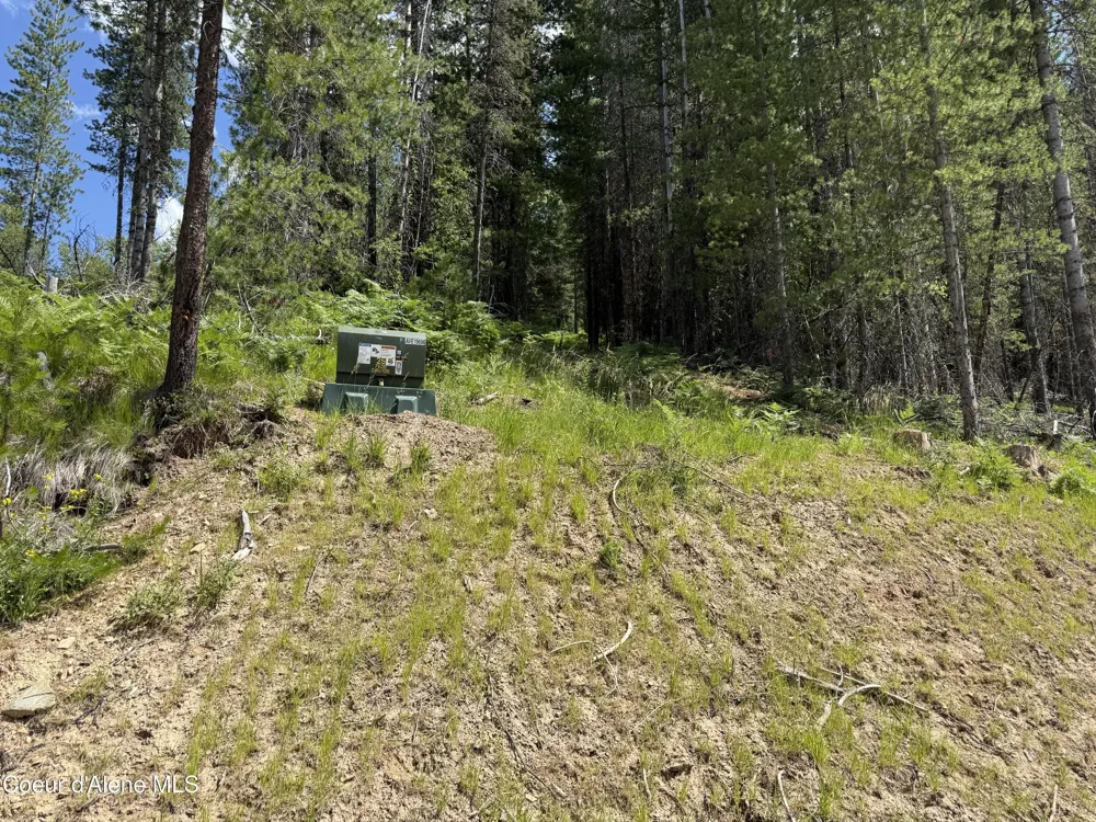 928 Polaris Peak Road Lot 3 Kellogg, ID 83837