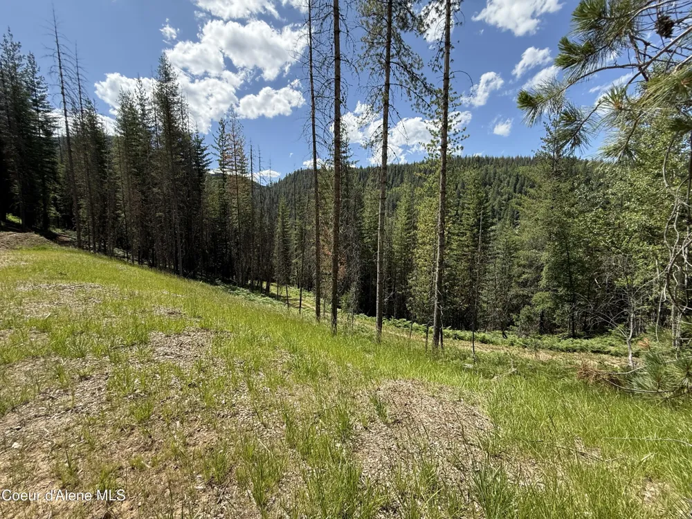 928 Polaris Peak Road Lot 3 Kellogg, ID 83837