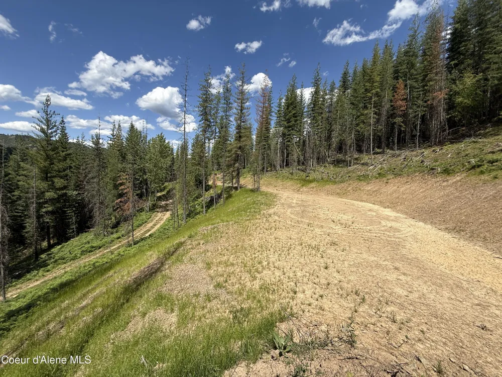 928 Polaris Peak Road Lot 3 Kellogg, ID 83837