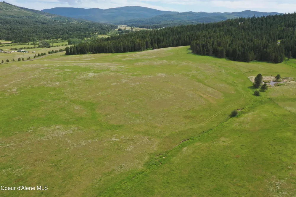 NKA 20 Acres Johns Creek Rd St. Maries, ID 83861