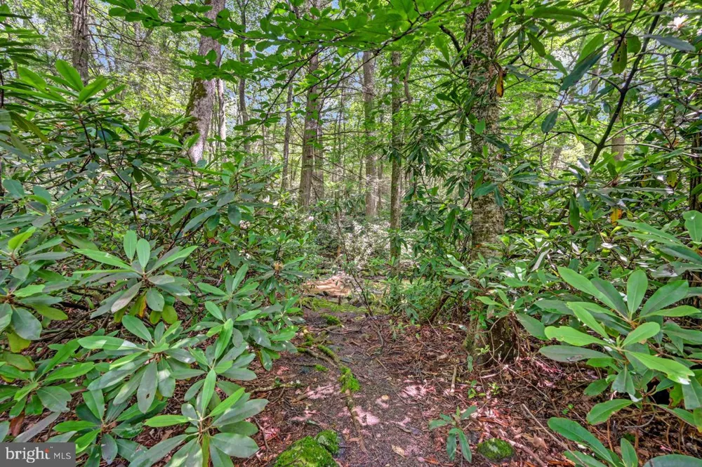 217 LOWER VALLEY DRIVE Kunkletown, PA 18058