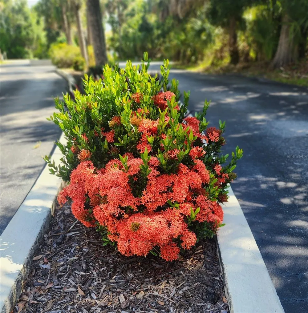 22481 WESTCHESTER BOULEVARD #A19 Punta Gorda, FL 33980
