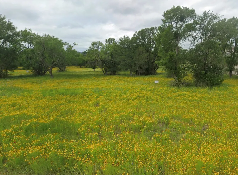 Skyline Drive Kingsland, TX 78639