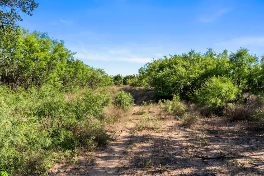 Fm 2315 Rochelle, TX 76872