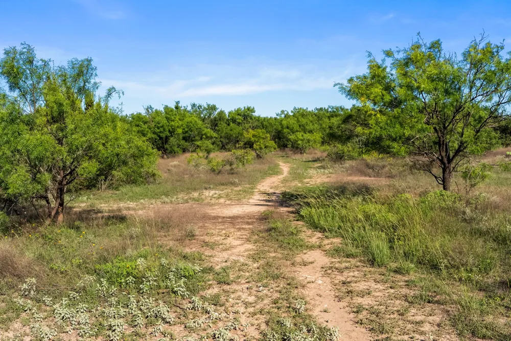 Fm 2315 Rochelle, TX 76872