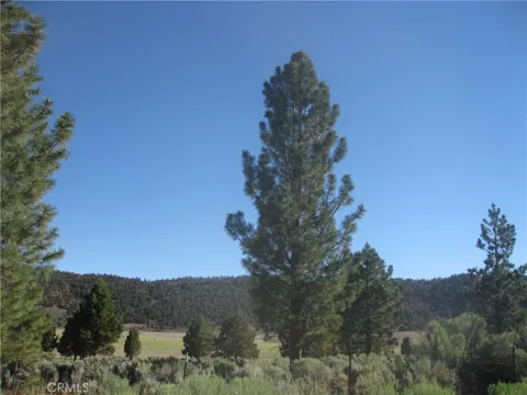 2805 Cedar Lane