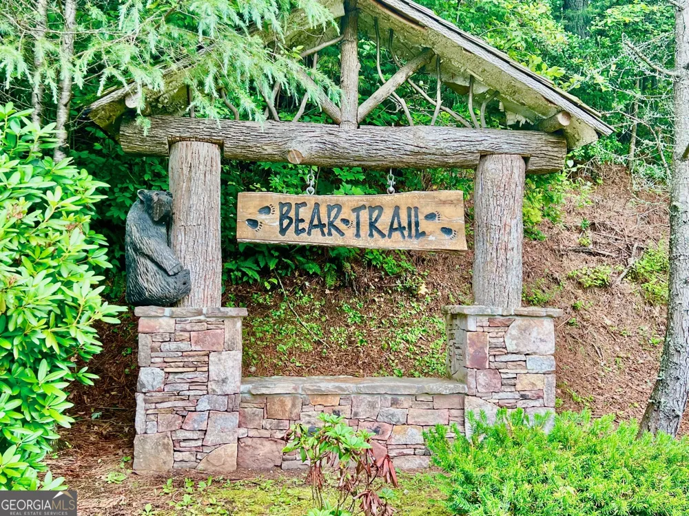 8 Black Bear TRL Hiawassee, GA 30546