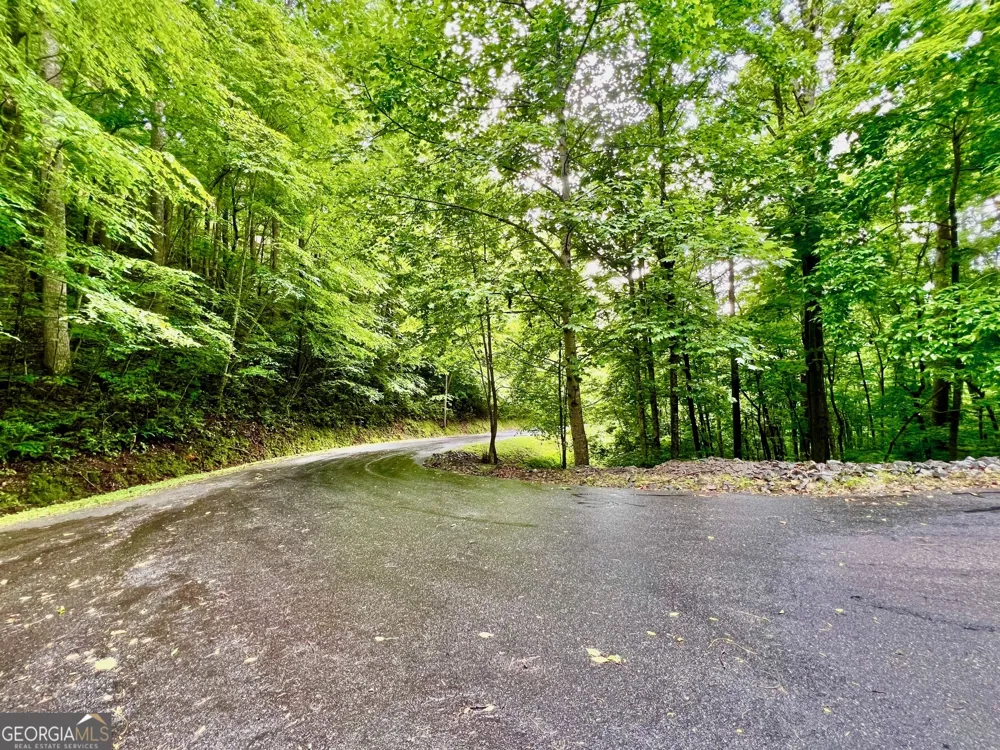 8 Black Bear TRL Hiawassee, GA 30546