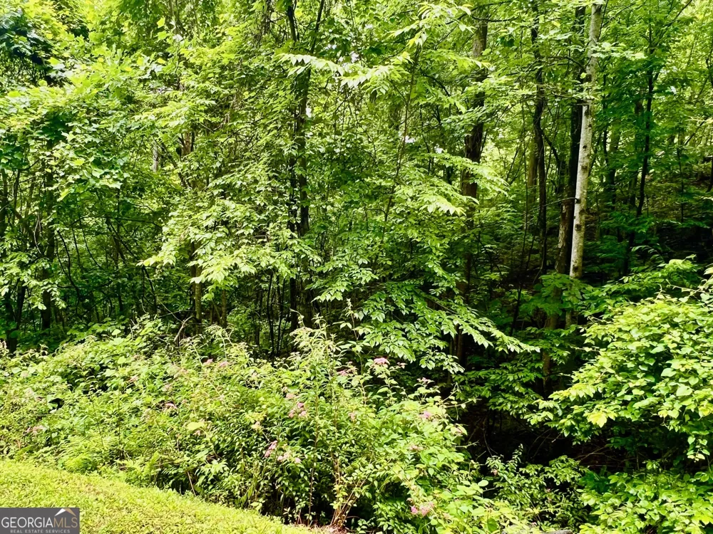 8 Black Bear TRL Hiawassee, GA 30546