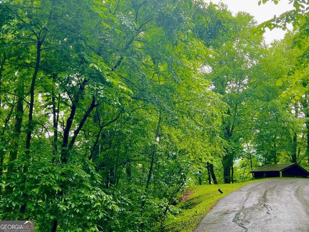 8 Black Bear TRL Hiawassee, GA 30546