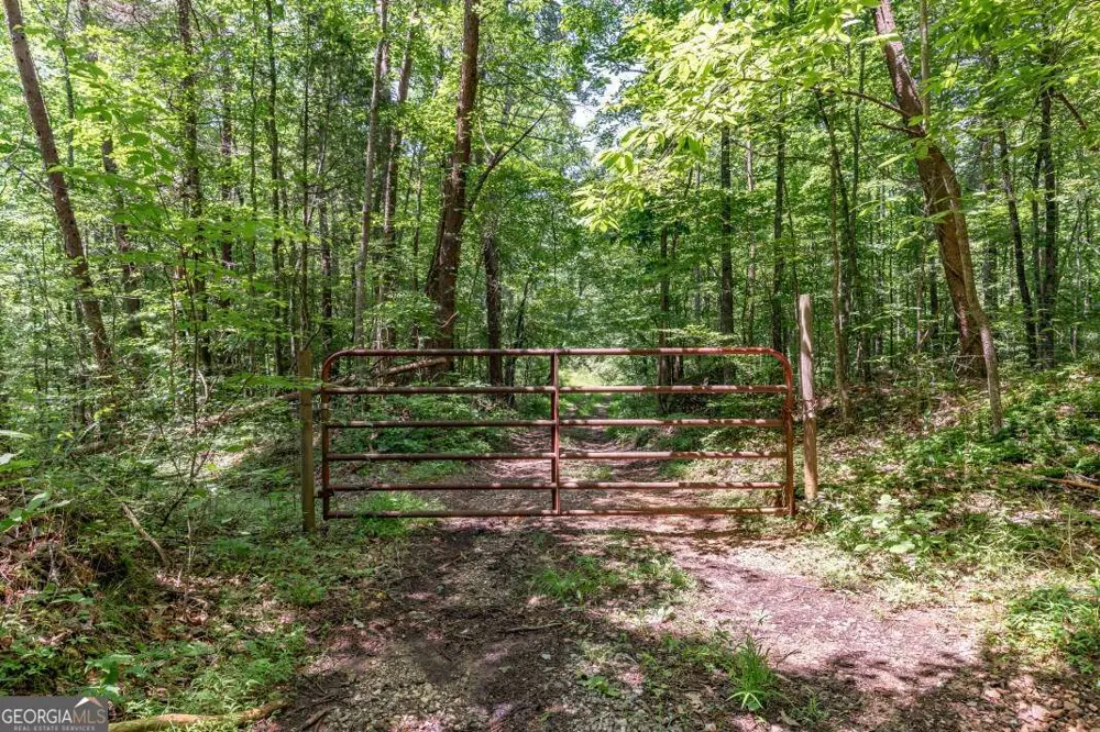 26.18 AC Green RD Young Harris, GA 30582