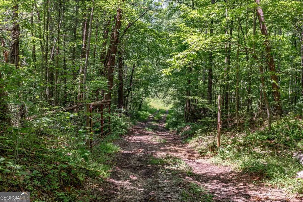 26.18 AC Green RD Young Harris, GA 30582