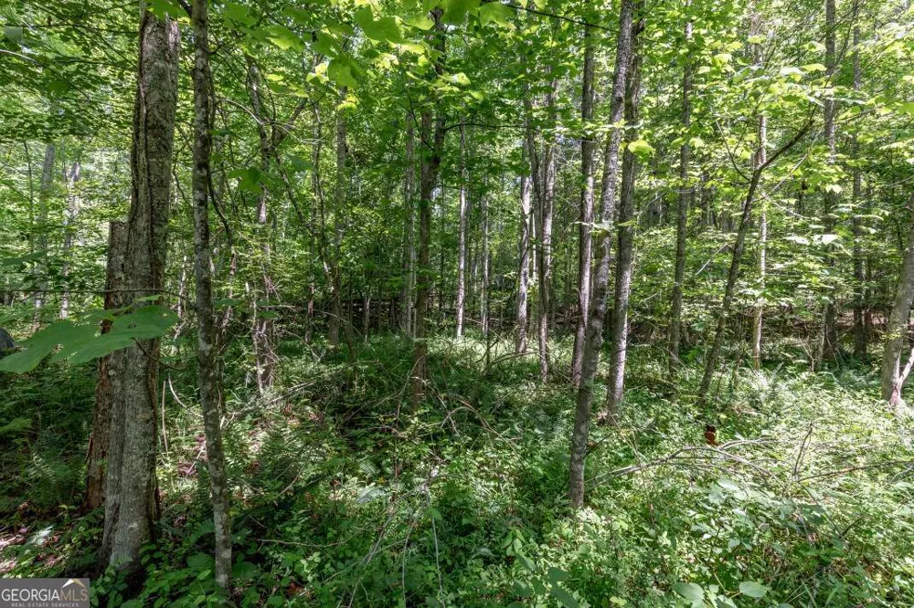 26.18 AC Green RD Young Harris, GA 30582
