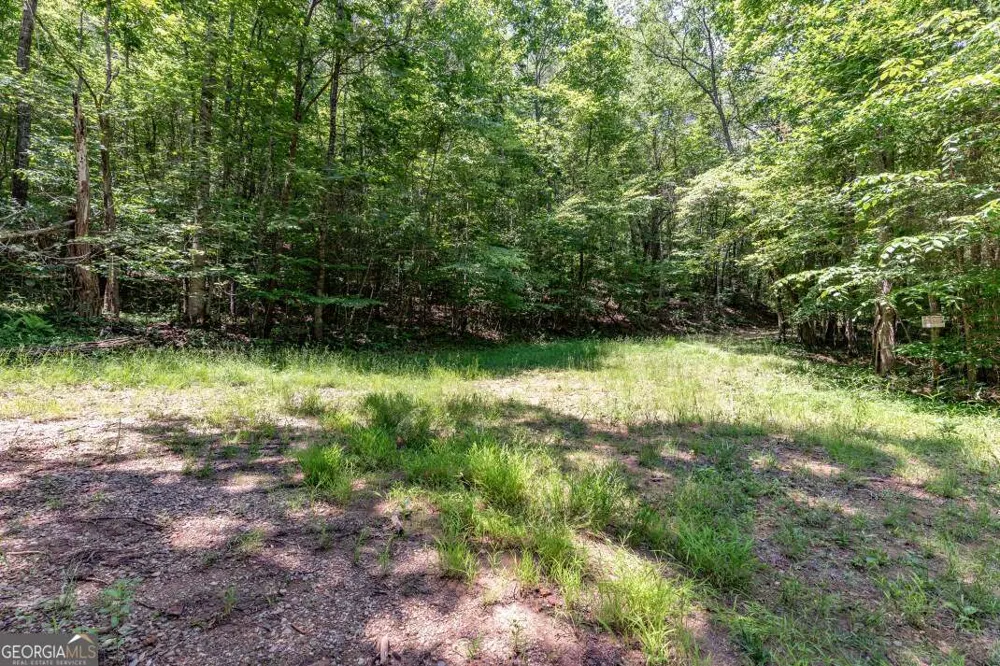 26.18 AC Green RD Young Harris, GA 30582