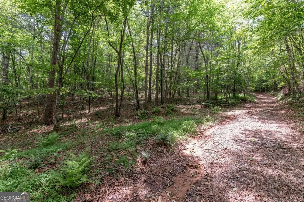 26.18 AC Green RD Young Harris, GA 30582