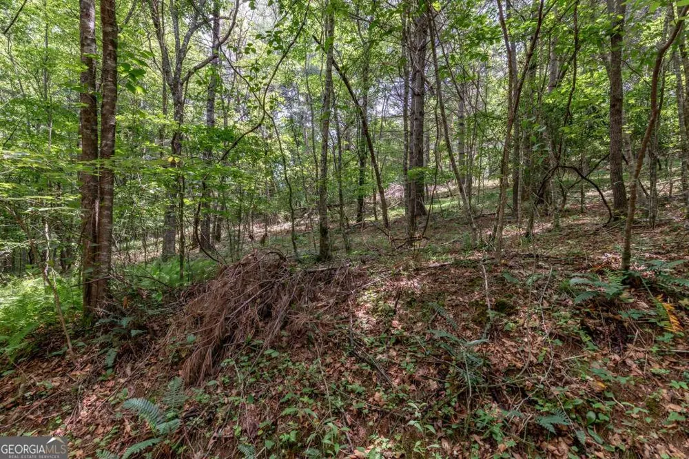 26.18 AC Green RD Young Harris, GA 30582