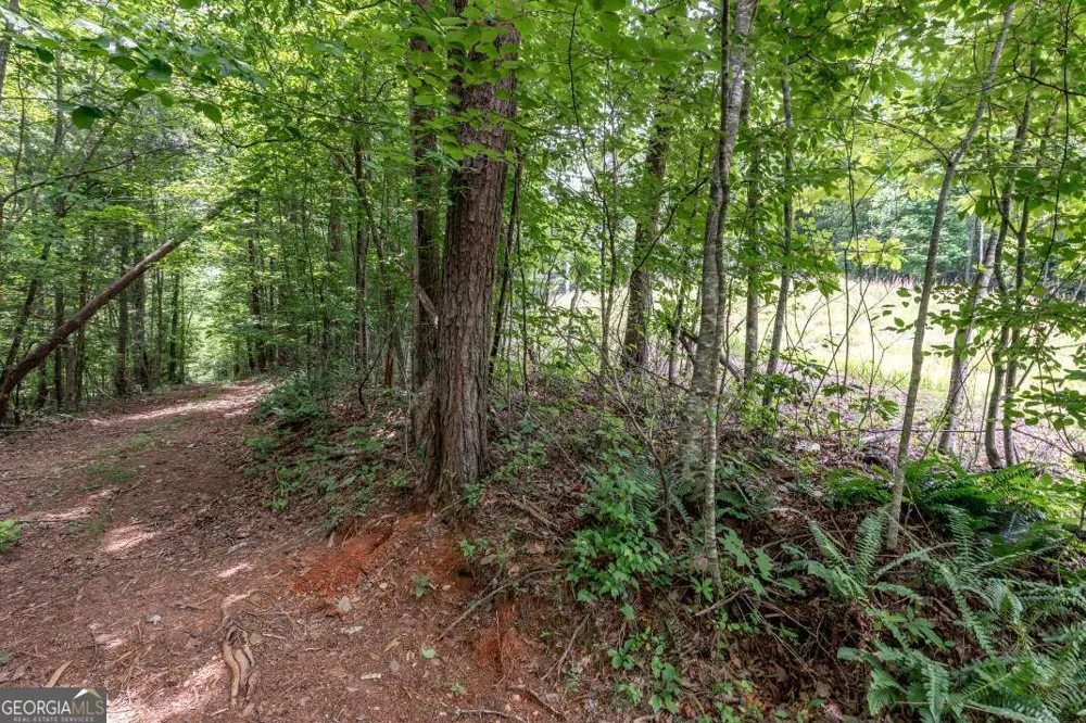 26.18 AC Green RD Young Harris, GA 30582