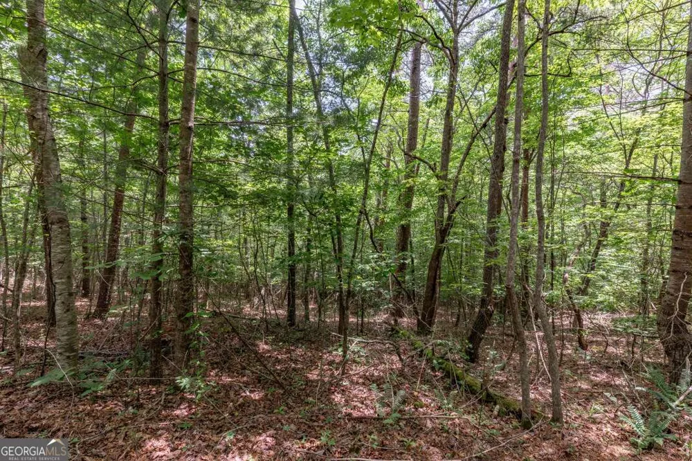 26.18 AC Green RD Young Harris, GA 30582