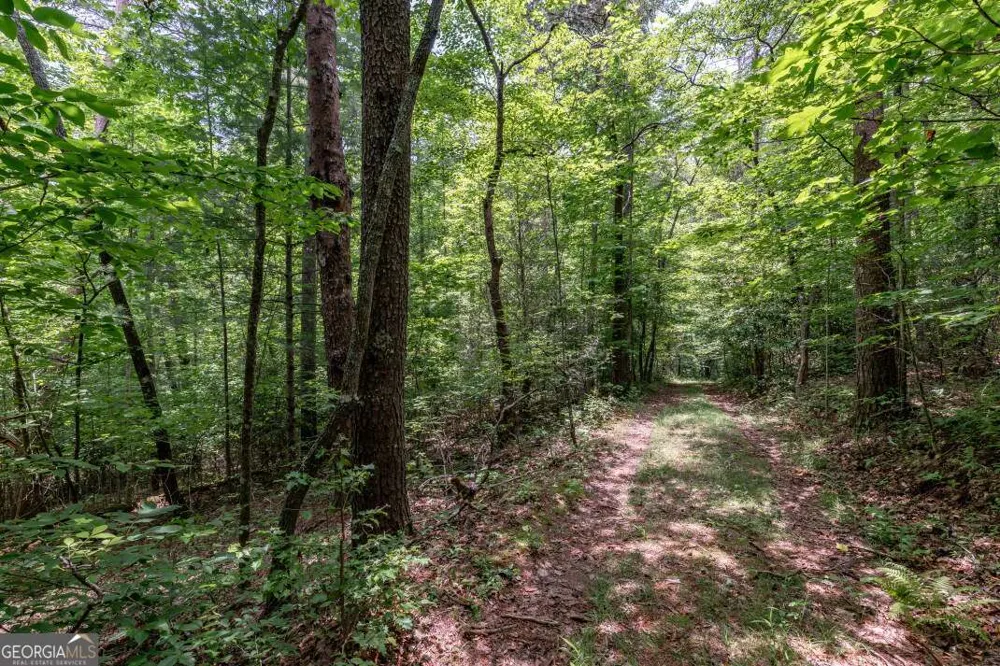 26.18 AC Green RD Young Harris, GA 30582