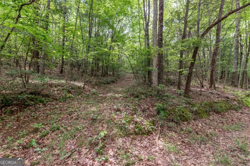 26.18 AC Green RD Young Harris, GA 30582