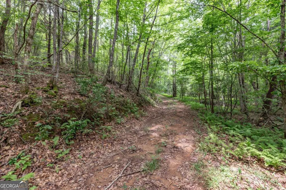 26.18 AC Green RD Young Harris, GA 30582