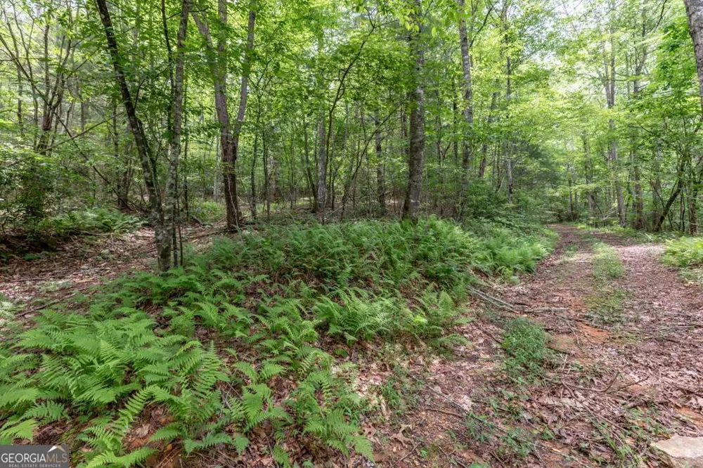 26.18 AC Green RD Young Harris, GA 30582
