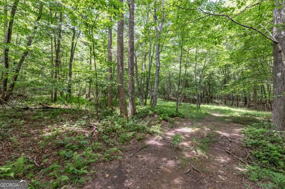 26.18 AC Green RD Young Harris, GA 30582