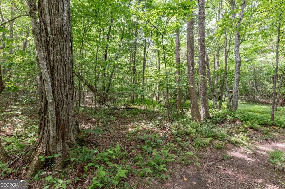 26.18 AC Green RD Young Harris, GA 30582