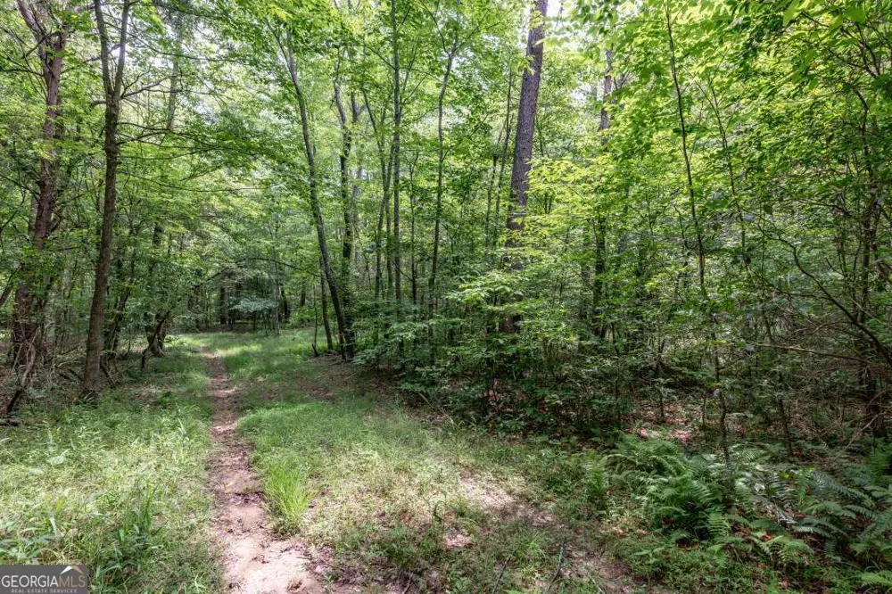 26.18 AC Green RD Young Harris, GA 30582