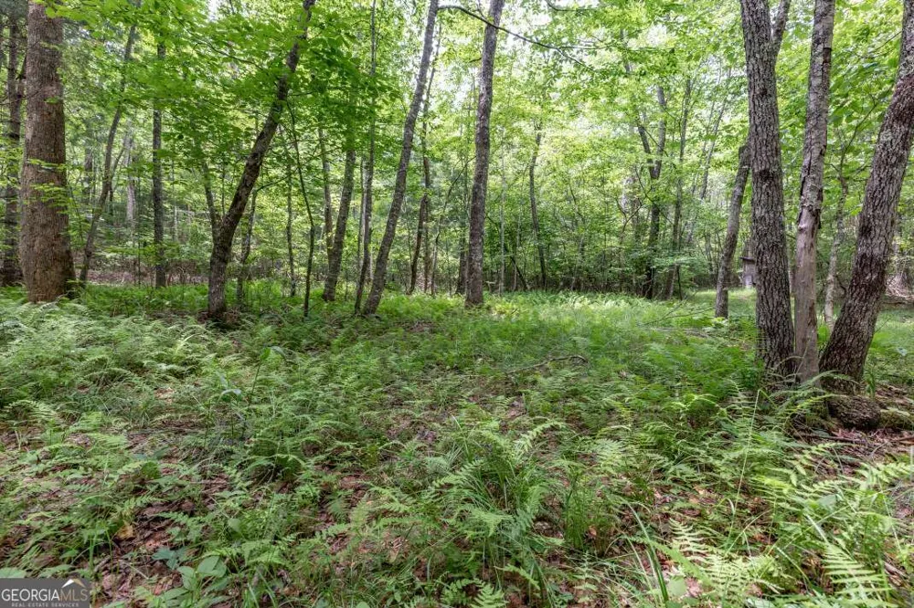 26.18 AC Green RD Young Harris, GA 30582