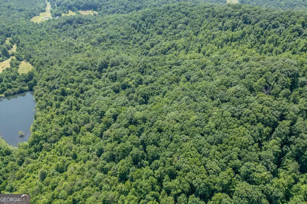 26.18 AC Green RD Young Harris, GA 30582