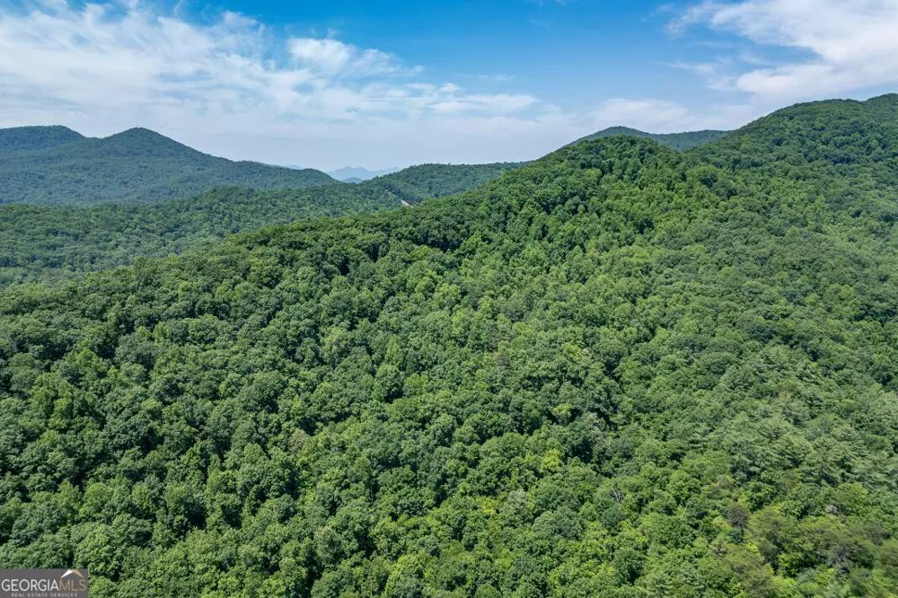 26.18 AC Green RD Young Harris, GA 30582